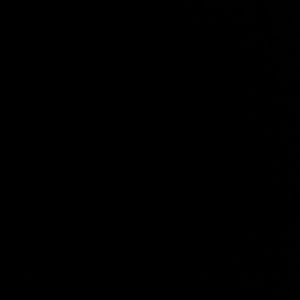 Meet your Posher, Destiny